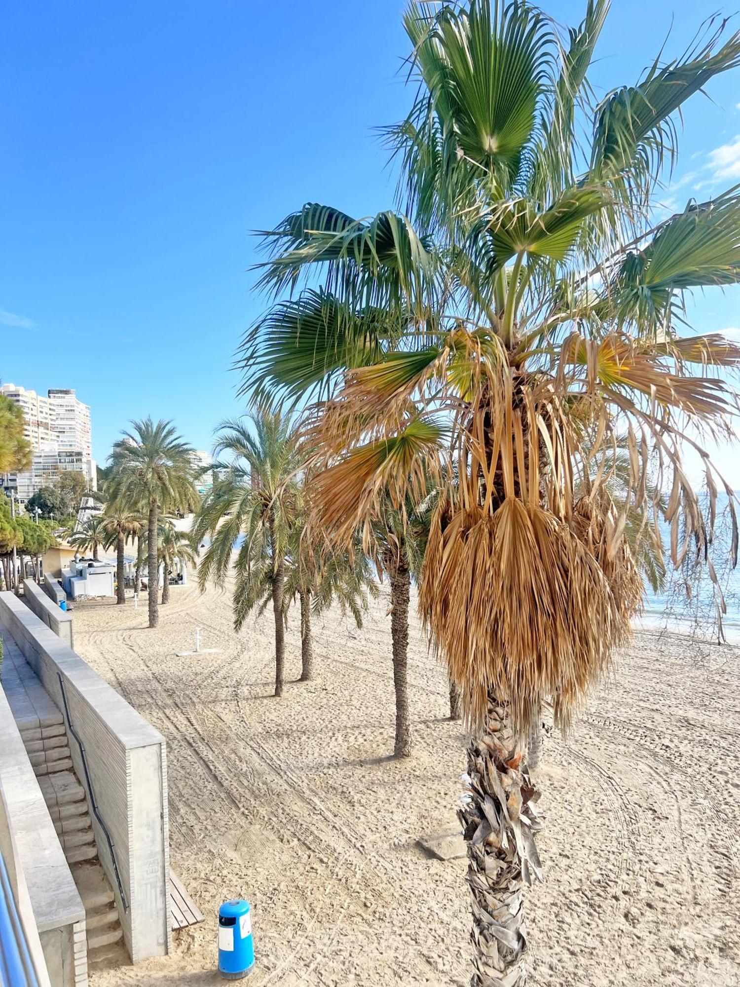アリカンテA 100 Metros De La Playa. Parking Gratuito Privadoアパートメント エクステリア 写真